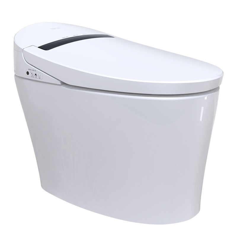 东鹏(DONG PENG) 智能马桶 一体式智能座便器连体式喷射虹吸式带遥控模式全自动坐便器地排300MM/400MM