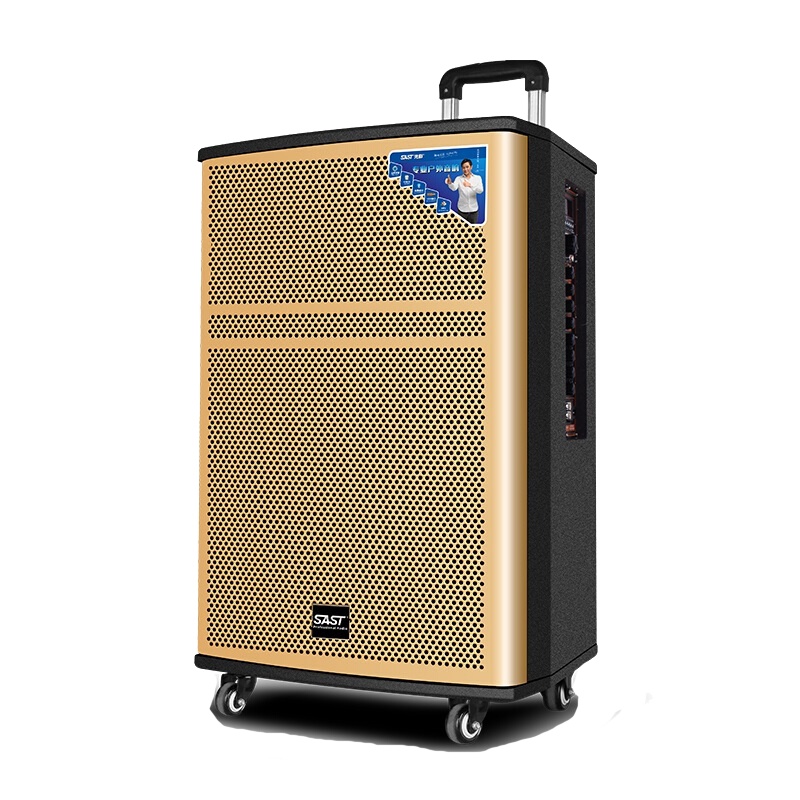 先科(SAST)SA-185广场舞户外蓝牙音箱 15英寸低音炮音响唱 带无线话筒