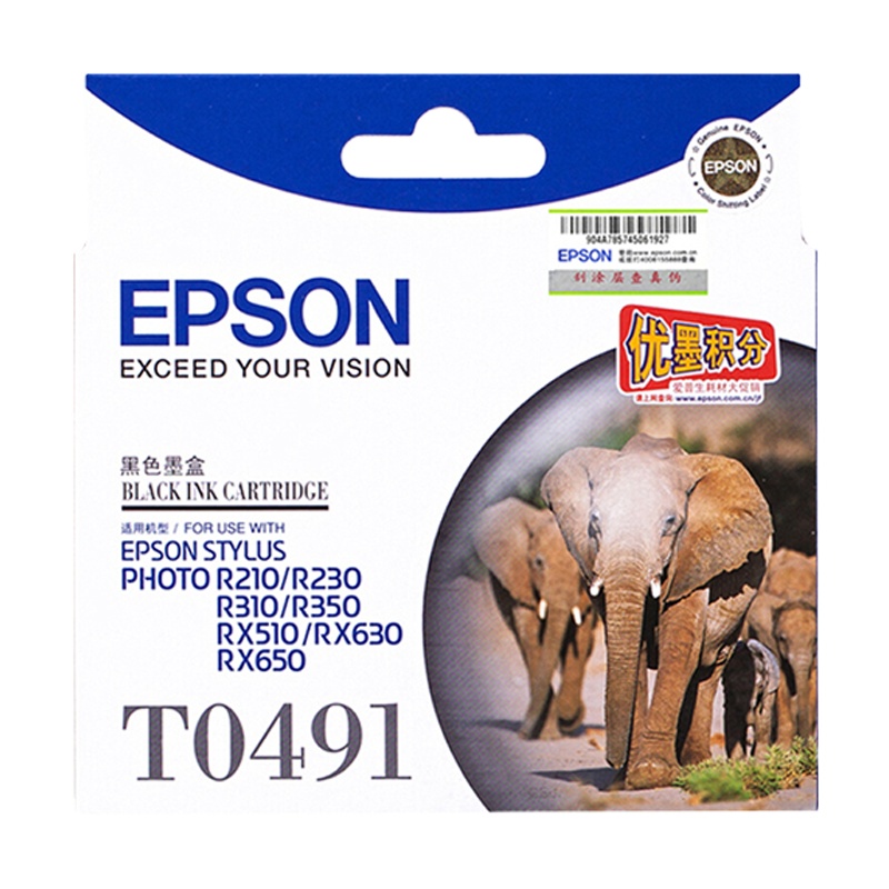 爱普生(EPSON)XSW T0491黑色墨盒 适用R210/230/310/350/RX510/630/650