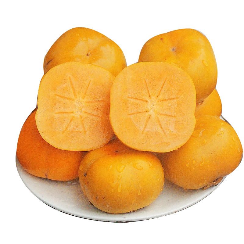 [西沛生鲜]广西恭城脆柿子 新鲜水果 带箱9斤 大果 当季黄甜硬柿子 脆甜新鲜 应季孕妇水果