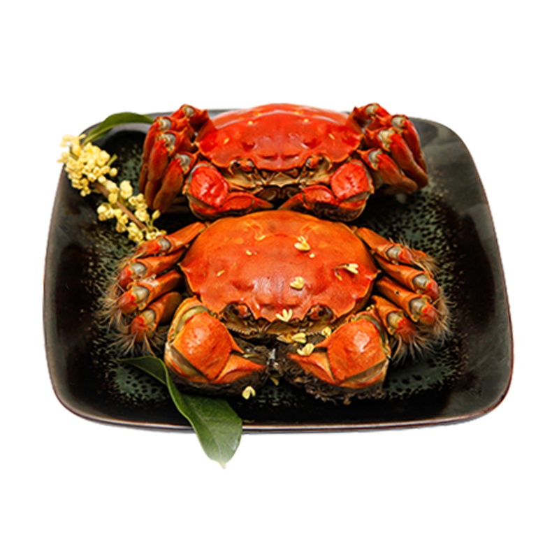 澄湖之心 阳澄湖大闸蟹 生鲜螃蟹 公蟹3.0-3.5两母螃蟹2.5-2.8两3对6只装