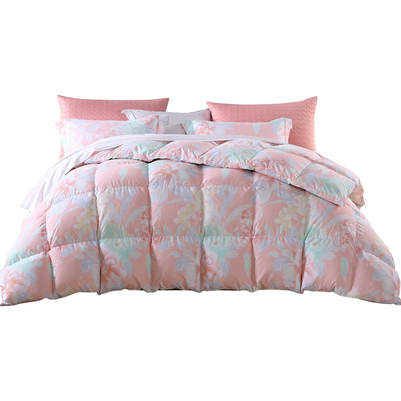 梦洁(MENDALE)家纺90%鹅绒被双层羽绒防螨被芯磨毛印花面料加厚保暖冬被子斜纹几何抽象图案花色