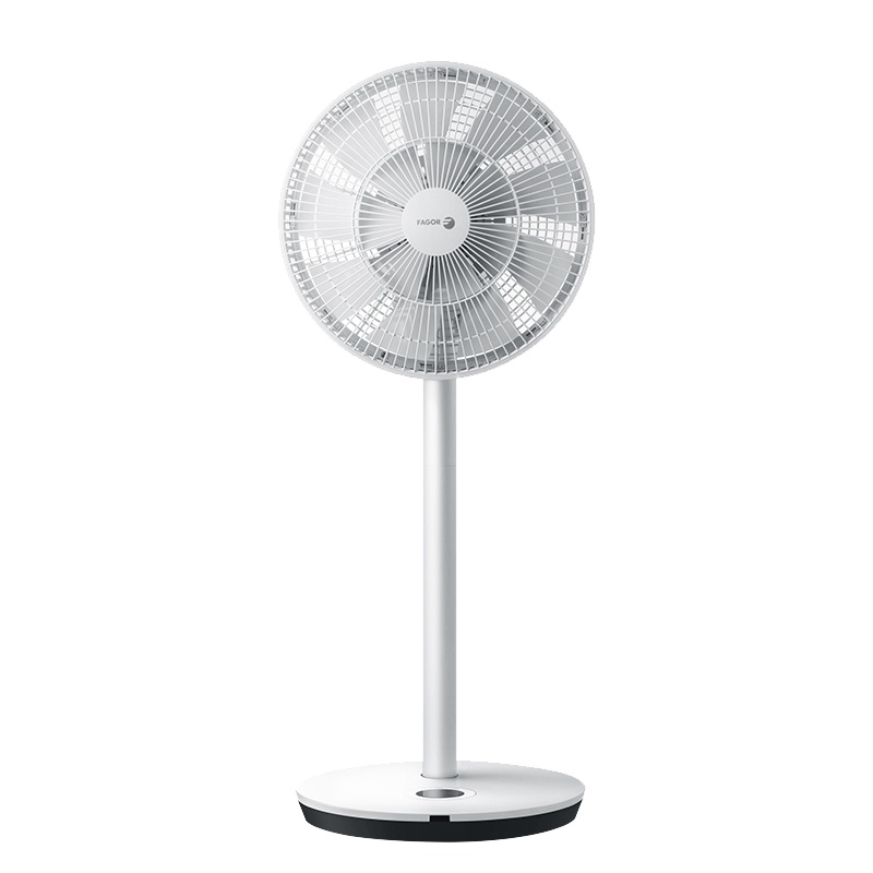 法格(FAGOR) 电风扇 VTR-96B 家用自然风正常风睡眠风摇头台式落地静音扇5档以上遥控控制空气循环扇