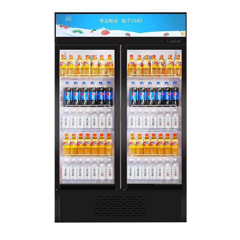冰熊 880升 立式商用冰箱保鲜饮料冷柜 冷藏展示柜 超市冷饮陈列柜冰柜 LC-880双门[铜管风直冷款]
