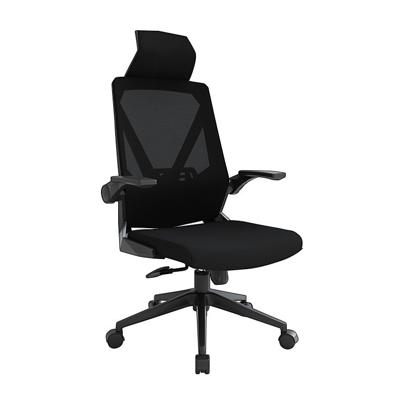 阿拉贡电脑椅家用学生学习写字椅舒适靠背书房书桌椅子转椅办公椅