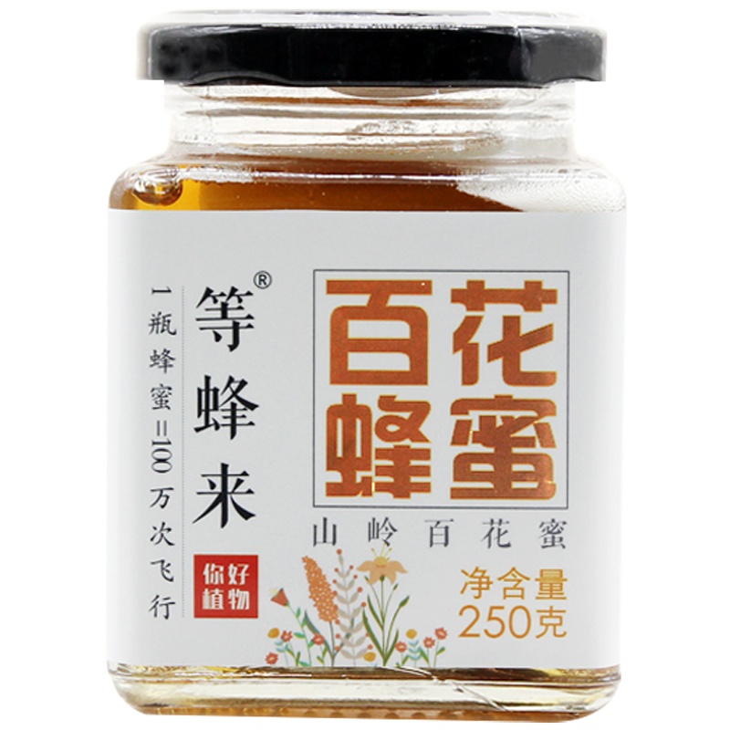等蜂来秦岭一带山岭百花蜂蜜250g 玻璃瓶装