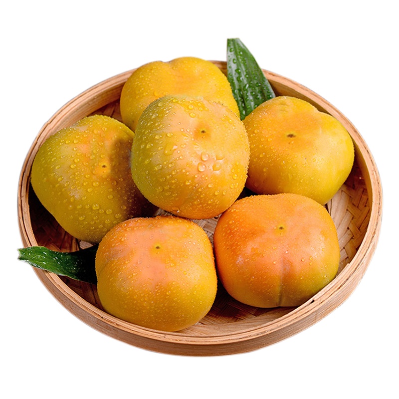 波得 陕西临潼突尼斯脆甜柿子 水果柿子 12枚精装 单果重170g—200g