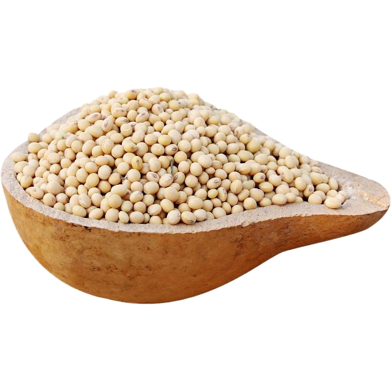 老品种豆自种笨豆2018新豆打豆浆大豆土豆3斤