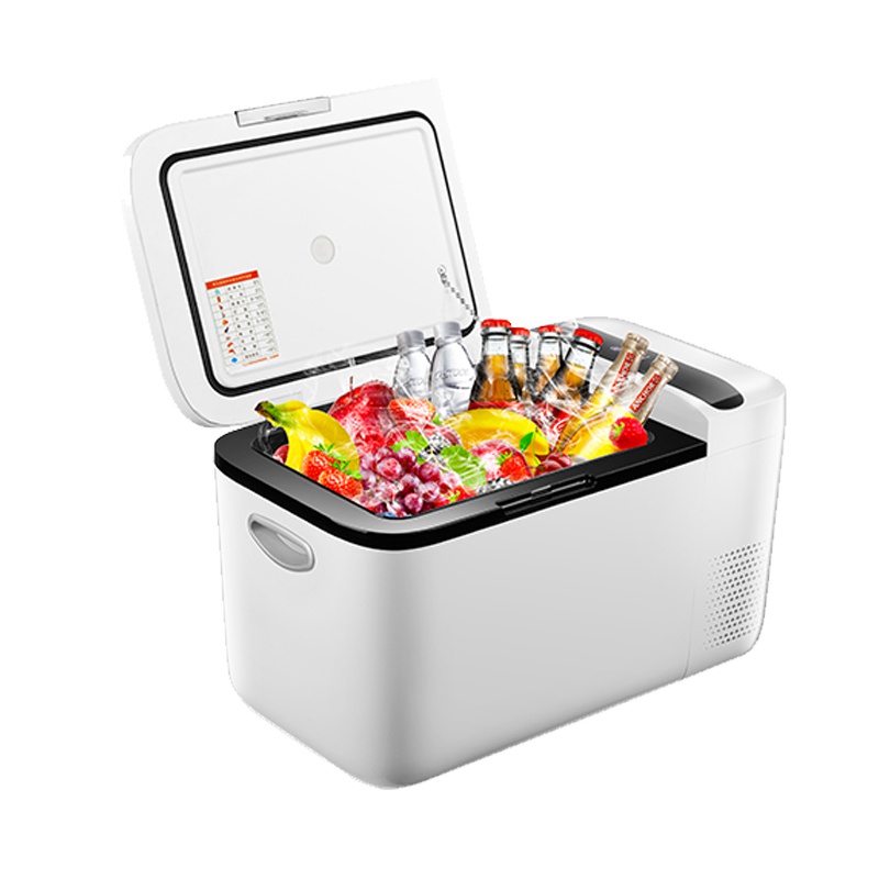 先科(SAST)22L压缩机冰箱RX-A6 纯车用 可结冰 德国制冷技术可达-22摄氏度 压缩机保修三年 电子冰箱