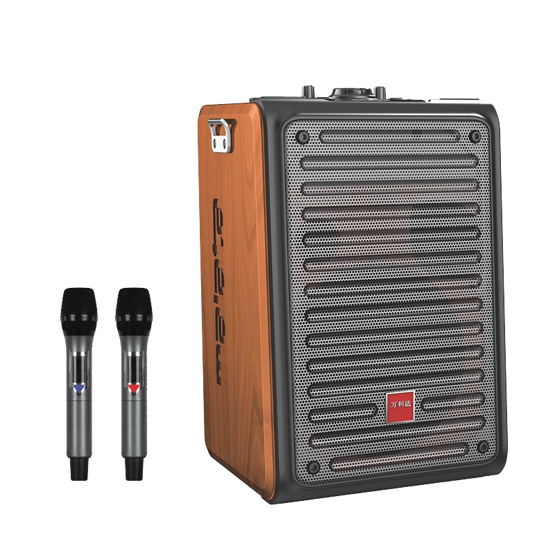 万利达（Malata） M+9112音响户外演出智能音箱唱歌广场舞低音炮移动蓝牙网红直播声卡一体机6.5英寸黑色