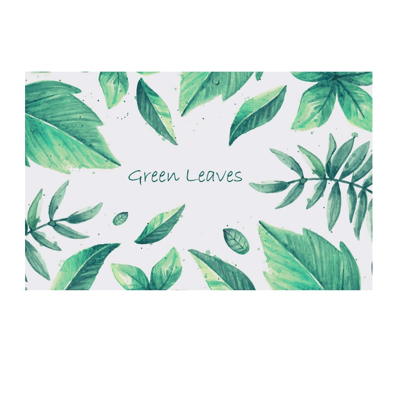 艾洛苏 地垫脚垫吸水地垫速干浴室防滑地垫厕所门口硅藻泥脚垫垫子