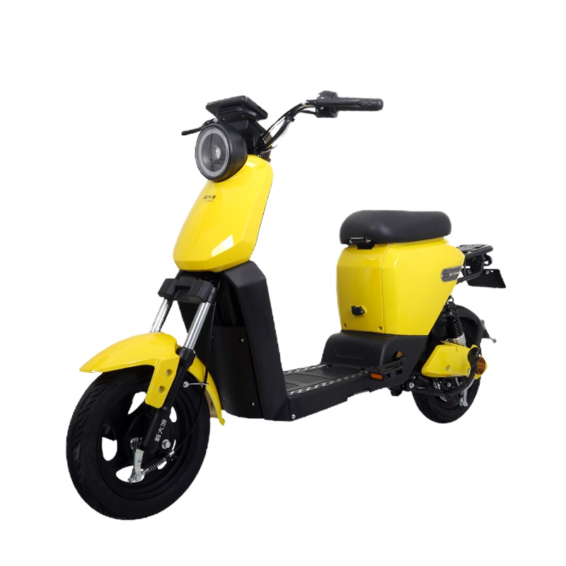 新大洲电动车 PALLA新国标电瓶车48V14AH锂电池电动自行车 B2