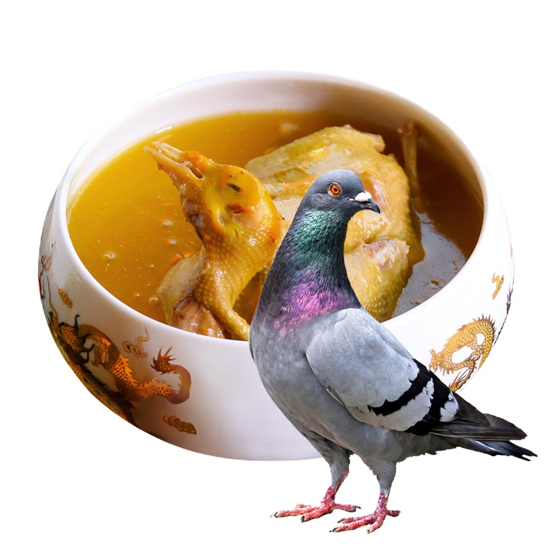 [顺丰空运发货]泓花会生鲜 谷物散养新鲜鸽子配佐料 4只装/约1400G 左右SFGZ4