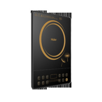 海尔(Haier)电磁炉 C21-BK26