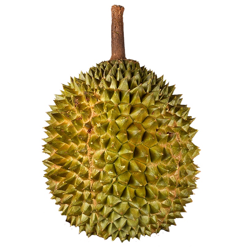 苏鲜生D197猫山王-冷冻榴莲整果1.2-1.5kg