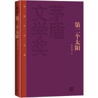 天星 《第二个太阳》