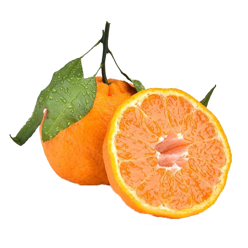 [顺丰直发][春节不打烊]四川春见耙耙柑 果园直采 5斤装65-70mm新鲜水果橘子