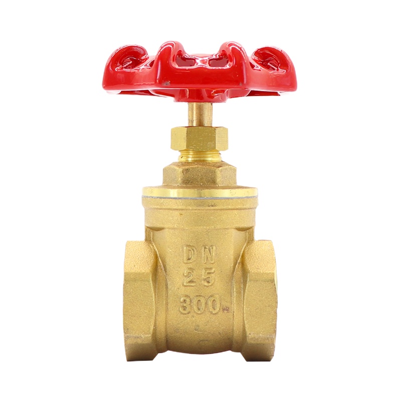 奥华 黄铜内螺纹铜闸阀门303体 规格:DN20 六分