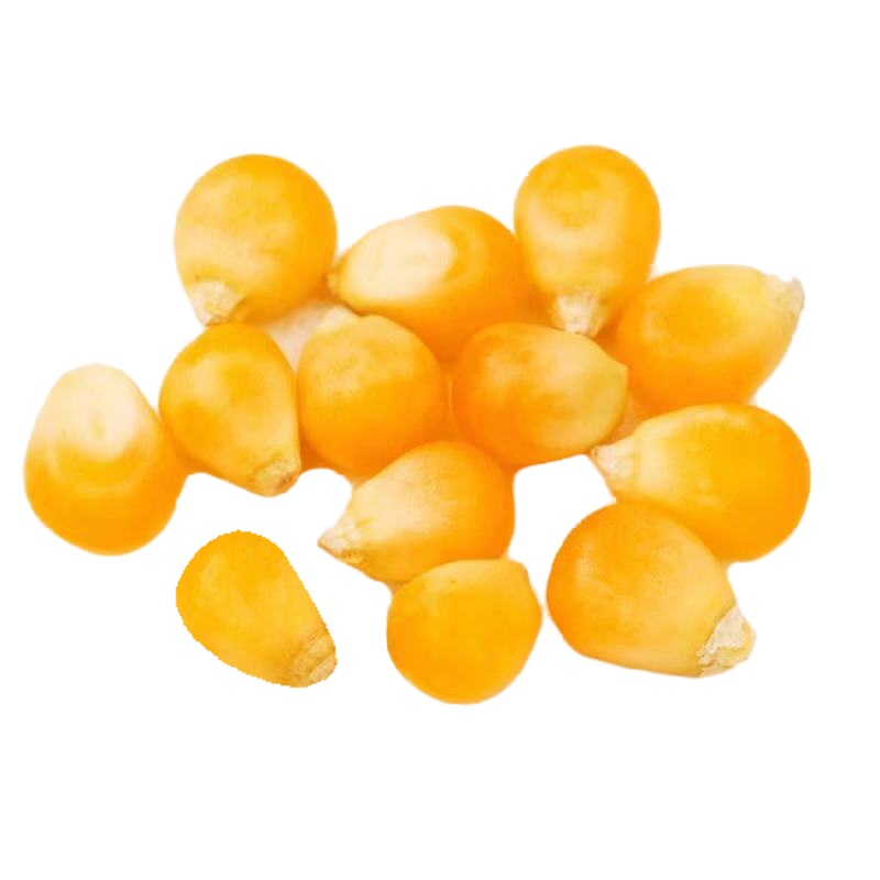 1斤球形+500g黄油 爆米花粒 小玉米粒 自制爆米花 玉米粒原料 爆米花玉米