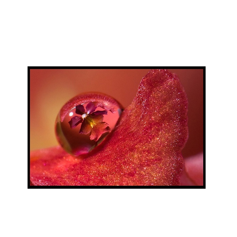 红叶100英寸4:3窄边画框幕高清白软幕 投影仪幕布 投影机幕布 投影幕布