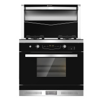 板川(SAKACO)集成灶智轩宝N20GZ一体灶家用消毒柜5.0火力侧吸油烟机燃气灶套装 天然气