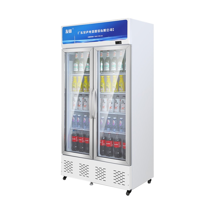 友田(YOUTIAN展示柜商用立式冷藏单门便利店保鲜饮料柜超市冰箱酒吧啤酒柜663L双门塑料风直冷