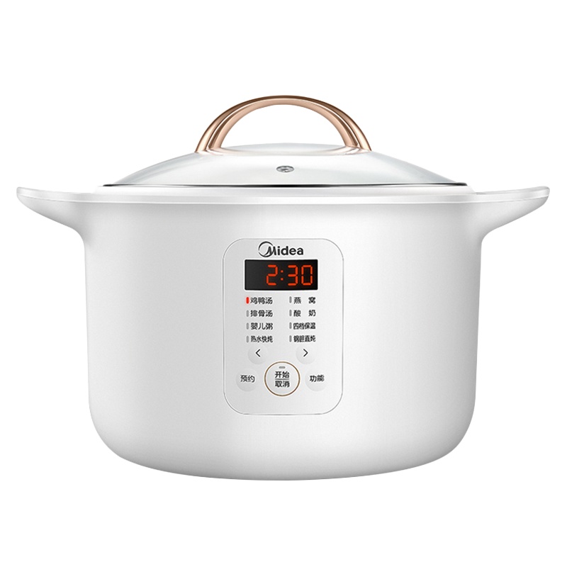 美的(Midea) 电炖锅燕窝炖盅隔水炖煲汤锅电炖盅煮粥神器家用全自动MD-DZ16E102