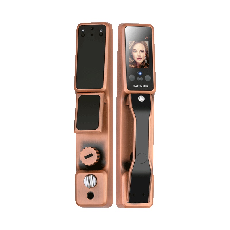 洲明翰源K11人脸识别锁全自动家用防盗门智能锁门锁刷脸电子锁密码锁 三锁舌 铜 通用型