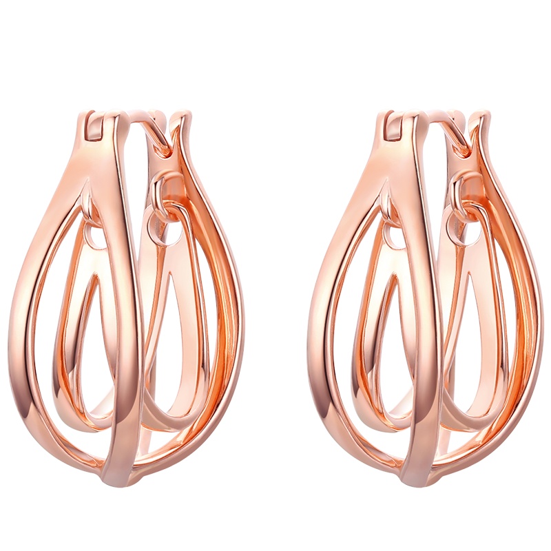 佰色传情夸张设计耳环2020年新款潮时尚气质高级感纯银耳饰女 BYE1016