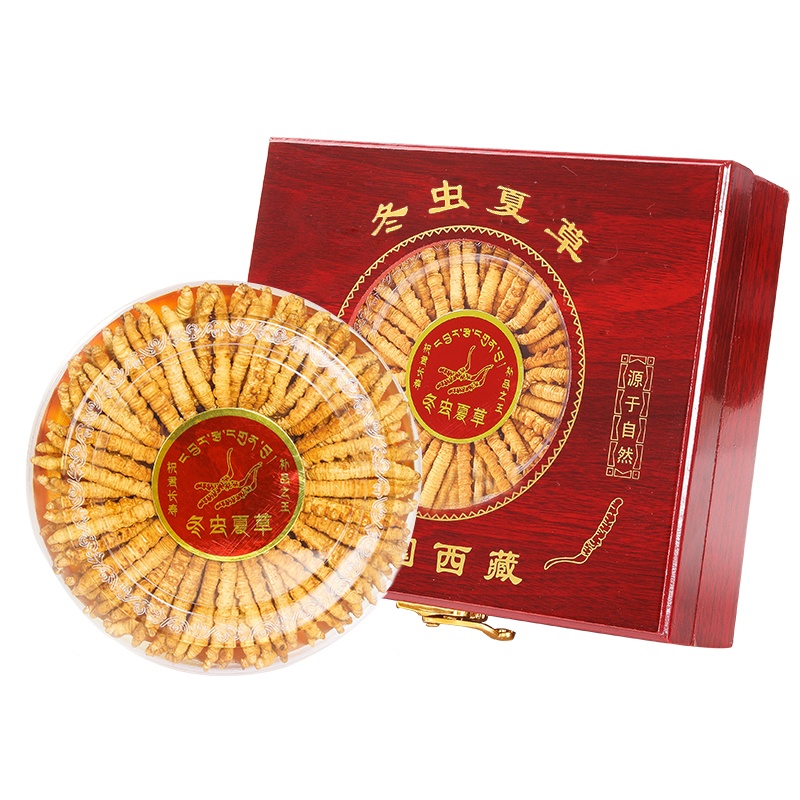色季拉冬虫夏草西藏高海拔虫草精选虫草5根/g10克礼盒装