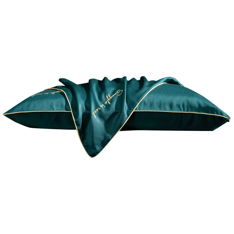 南方寝饰莫代尔天丝刺绣枕套枕头套单人双人夏季枕芯夏天一对装