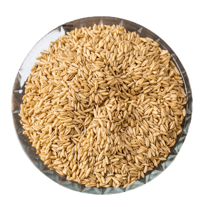 东北燕麦 燕麦胚芽米500g*2 裸燕麦仁燕麦胚芽米颗粒谷粒全胚芽去皮去壳燕麦米 五谷杂粮