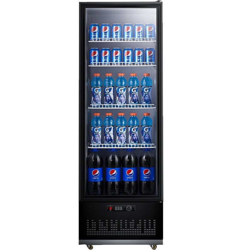 德玛仕 展示柜冷藏 立式 冰柜商用家用 电冰箱饮料水果保温保鲜柜超市鲜花冷柜 单门无灯箱LG-300ZH1(5层230升