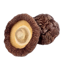 淳乡味 珍珠香菇(特级)500克