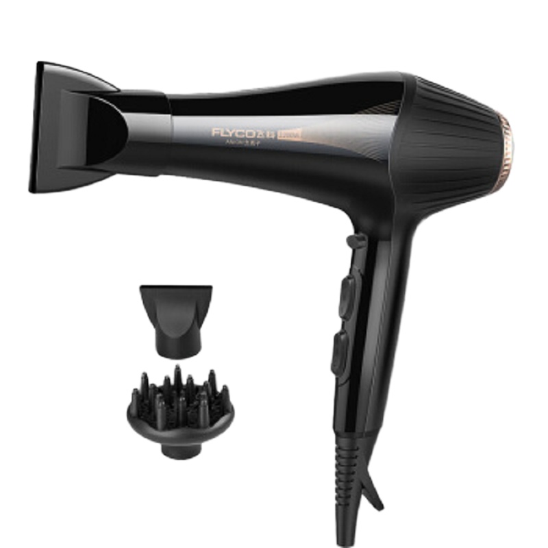 飞科(FLYCO)电吹风FH6101 吹风机 大功率 吹风筒 发廊家用负离子冷热风 理发店 吹风器