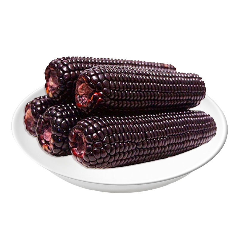 美滋堂 广东湛江 紫玉米 10根箱装 玉米棒 低脂健康 香甜软糯