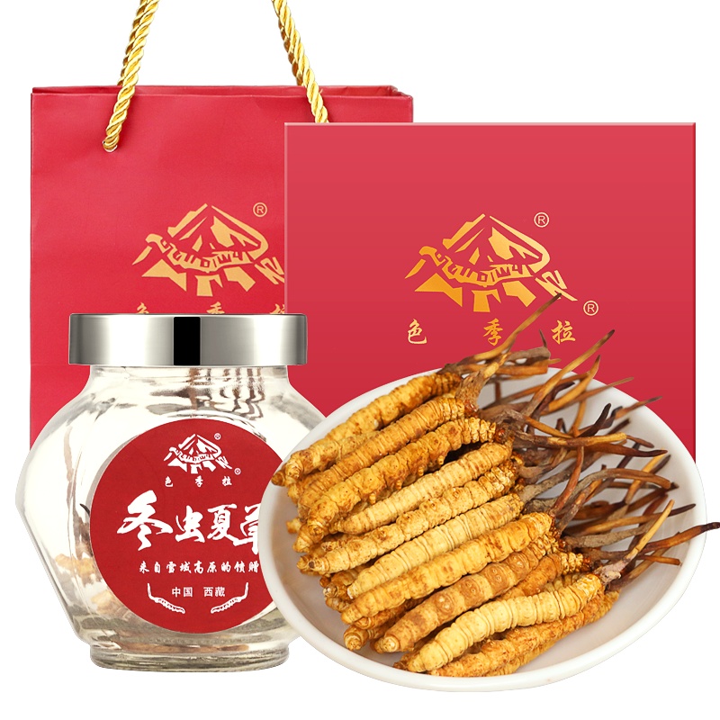色季拉冬虫夏草西藏高海拔虫草精选虫草5根/g1克装