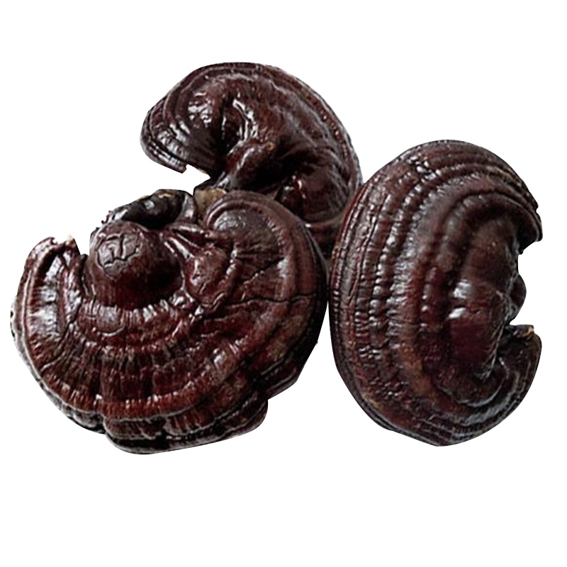 东北特产长白整枝灵芝100g权禄煲汤泡酒料可搭配切片灵芝粉破壁灵芝孢子粉胶囊泡酒料33