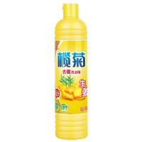 榄菊 生姜去腥洗洁精500g 家用厨房去油洗碗液碟剂洗涤灵 水果蔬菜清洁剂