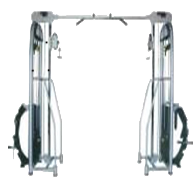 F1-2024 大飞鸟训练器