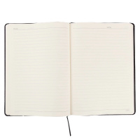 得力(deli)3161商务记事本 大号18k皮面 114页本子 黑色