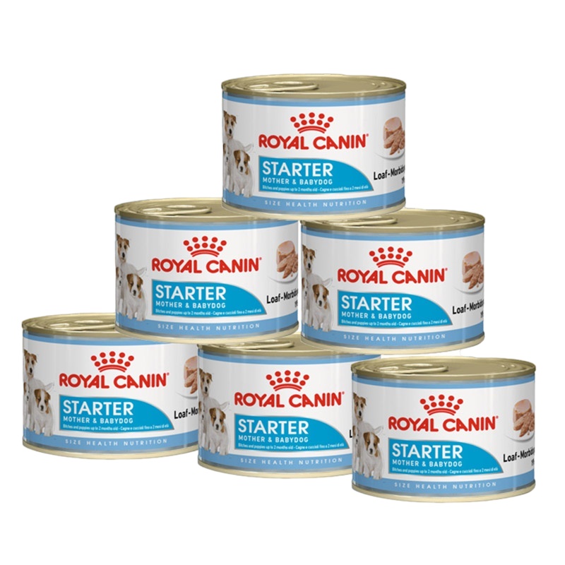 皇家幼年期、妊娠期、哺乳期全价犬粮 奶糕罐头195g×6罐