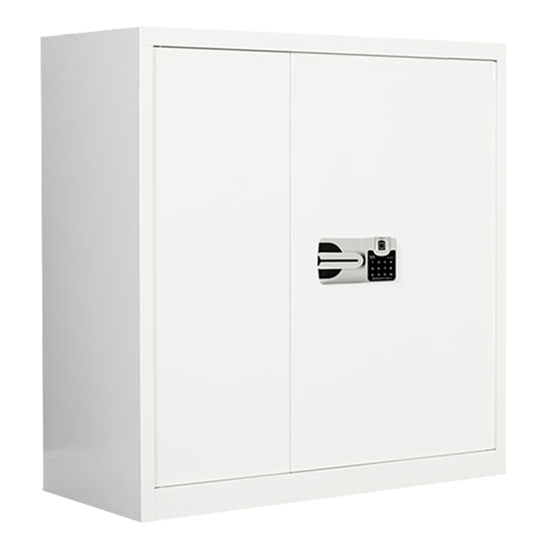三圣 办公家具保密柜文件柜档案柜保险柜密码资料柜通双节国宝指纹锁保密柜带抽