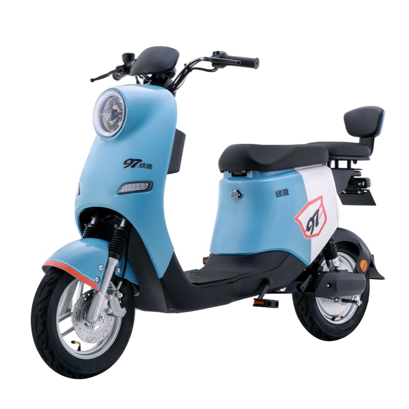 绿源新国标电动自行车48V24A锂电电动车 液冷电机 前后液压减震 ZOO