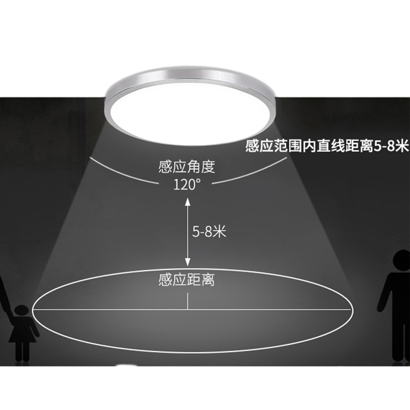 台胜 感应声控LED吸顶灯 雷达单铝41CM 24W