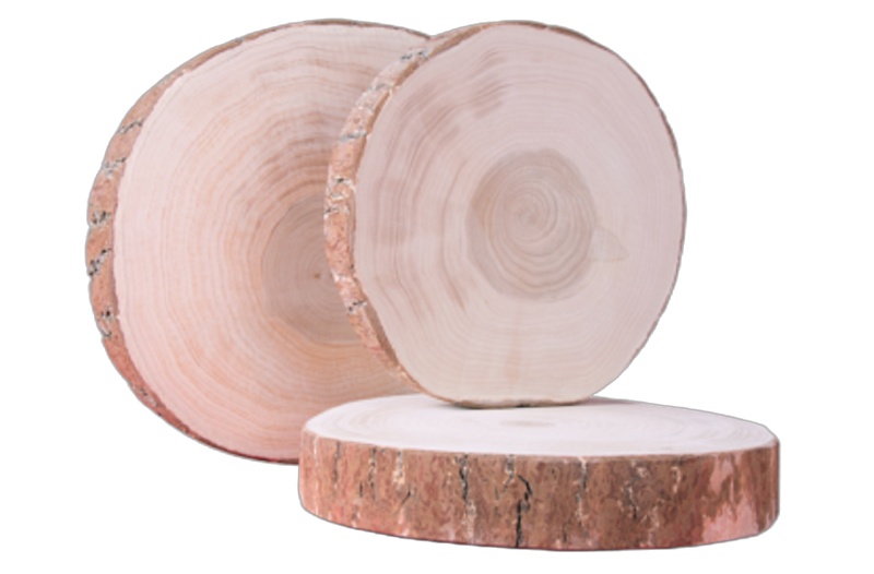 鑫众源 菜墩木质 厚8cm 直径50公分