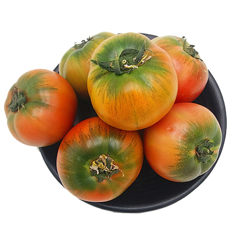 东北新鲜盐碱地草莓柿子 铁皮西红柿绿腚柿子油柿子番茄 5kg