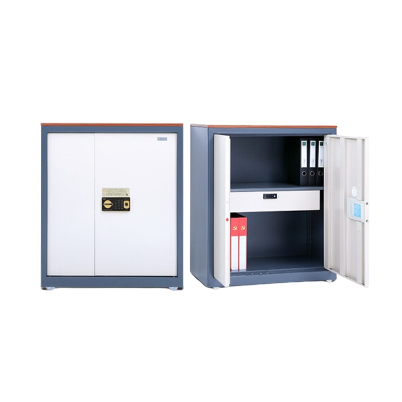 蓝翔 w1077 保密文件柜 办公文件柜小型家用办公保险柜档案柜带密码抽 90×90×42 (单位:件)