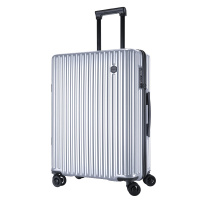 卡斯曼(Caseman) 商务拉链登机箱710A 浅银 21寸