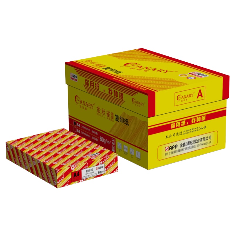 KBS金丝雀381-2电脑打印纸白整张(不撕边)800g 1000页/箱